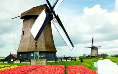 A Starter Guide to Dutch Culture