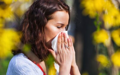 Navigating Allergies in the Netherlands