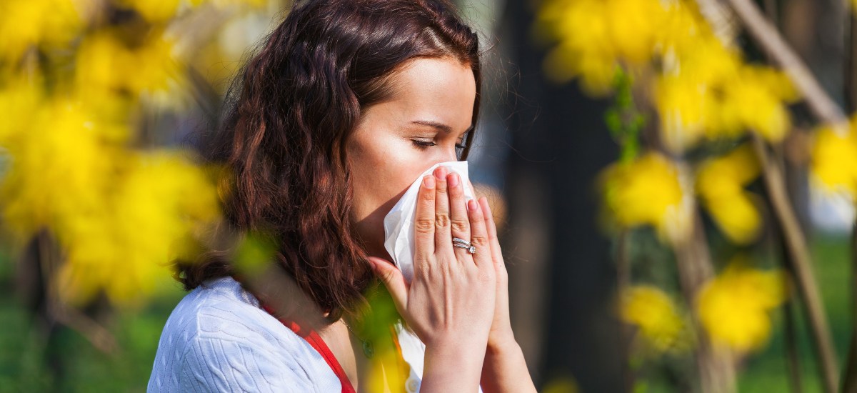 Sneezing woman due to hayfever. Navigating allergies in the Netherlands